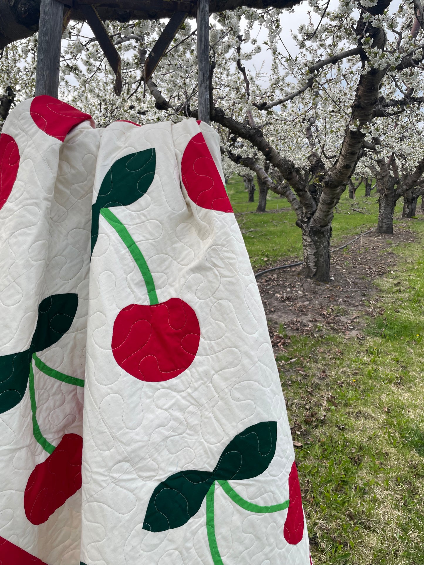 Cherry Delight Modern Appliqué Quilt Pattern