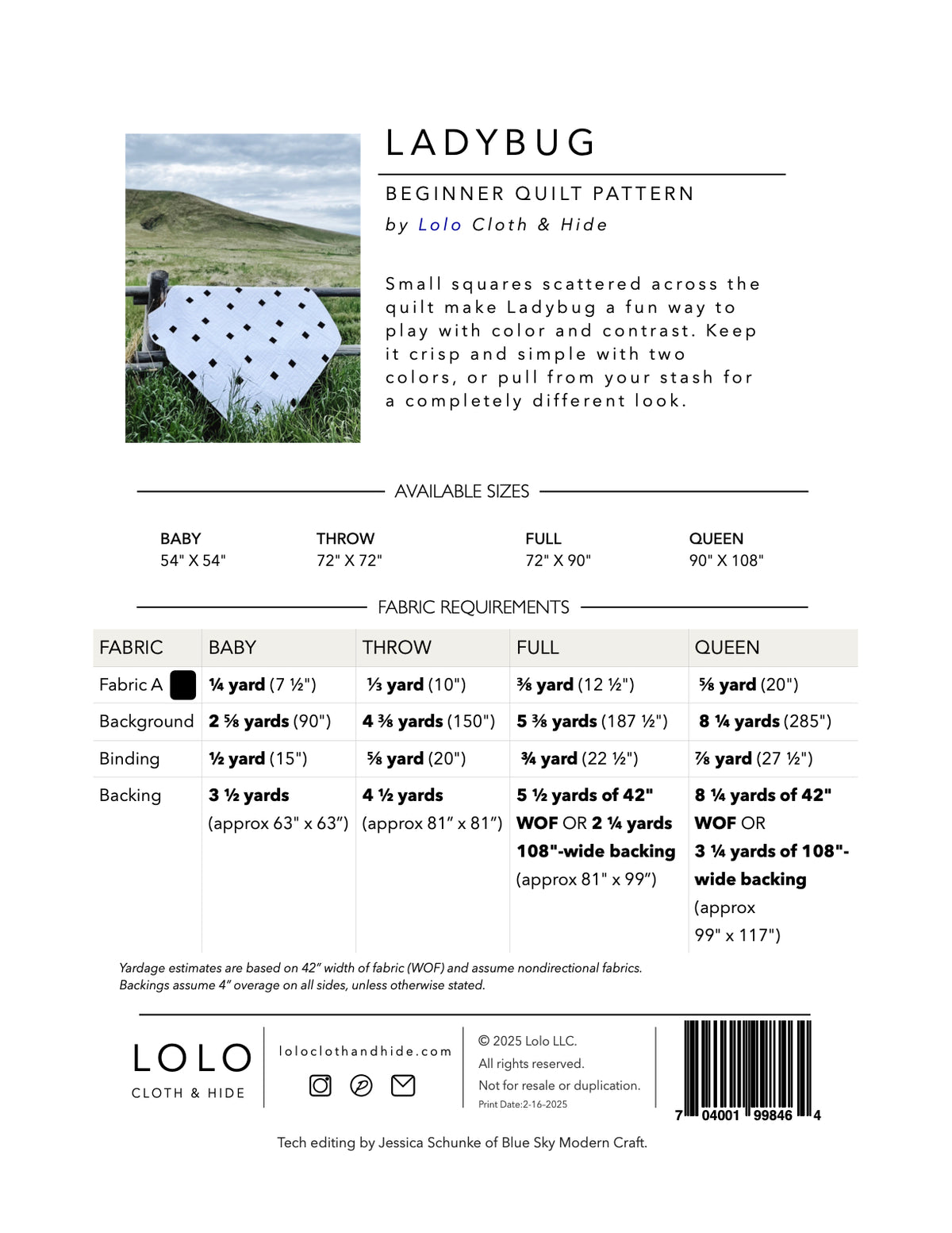 Ladybug Modern Geometric Quilt Pattern | Beginner-Friendly